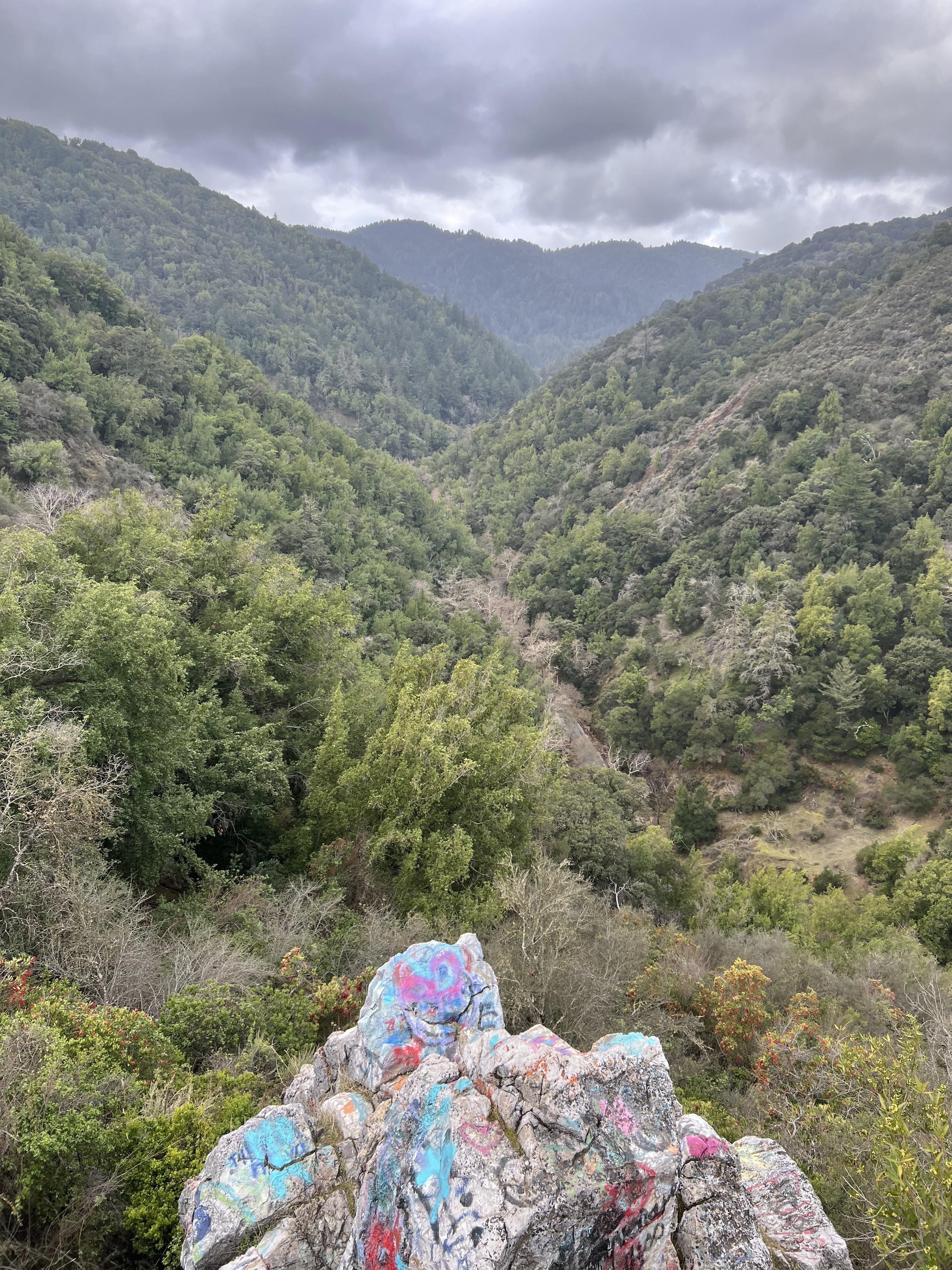 trash rock